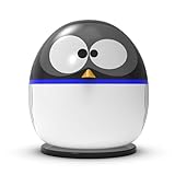 Wärmepumpe Pinguin mit 4 kW Heizleistung und Bluetooth