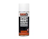 Rostio Epoxy Grundierung 1 K | EP Rostschutzgrundierung Spray | Korrosionsschutz | Grundierfüller Primer Rostschutz | Schnelltrocknend (1 Stück)