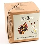 Geschenk-Anzuchtset FOR YOU - Sonnenblume Abendrot, inkl. Anzuchttopf, Substrat und Anzuchtanleitung