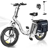 COLORWAY EBike, 20 Zoll Fat Reifen Klapp Elektrofahrrad, 250W Motor, 36V/15AH Batterie, Citybike, maximalen Reichweite von 45-100 Kilometern，7-Gang, mit Gepäckträgertasche., mit Scheibenbremsen.