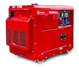 Premium Diesel Stromerzeuger 10kW+Batterie E-Start Generator 196cc 2x220V-1x380