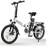 VARUN E-Bike Klapprad, 20 Zoll E Bike Damen Herren mit 48V 7.8Ah Abnehmbarer Lithium-Ionen-Akku,250W Motor, LCD-Display