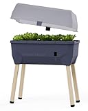 GUSTA GARDEN Sammy Salad Hochbeet Anthrazit - Hochbeet Balkon & Garten - Abnehmbare Haube & Bewässerungssystem - 15L Wassertank & 40L Erdvolumen