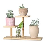 QUMENEY Bambus-Pflanzenständer für den Innenbereich Mini-Tischplatte aus Holz Sukkulenten-Pflanzenständer Schreibtisch-Organizer Display-Rack für den Außenbereich