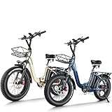 HANEVEAR H6-S Elektrofahrräder E Bike Klapprad, 24Ah 140km+ Battery, E Fatbike 20x4'' All-Terrain Fat Tire, 250W Motor 25km/H, E Bike Damen Herren 180kg Payload, 168-195CM (Gold+Blau)