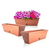 BigDean 3X Blumenkasten mit abnehmbarem Untersetzer Terracotta 50cm lang aus bruchsicherem Kunststoff Balkonkasten Pflanzkasten mit Wasserspeicher für Innen-&Außenbereich geeignet Made in Europe