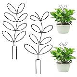 Amaxiu 2 Stück Topfpflanzen Pflanzenspalier, Praktisches Kleines Metallspalier Garten Pflanzenstütze Mini Pflanzen Rankhilfe für den Innenbereich für Kletterpflanzen Zimmerpflanzen DIY Blumentöpfe