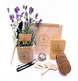 TEE KRÄUTERGARTEN ANZUCHTSET 4 Sorten Pflanzen Samen- garten Starter-Set, öko Saatgut mit Holzkiste mit deckel, mini gewächshaus, kinderküche zubehör, Kinder Anzuchtset von PUT DOWN ROOTS