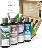 FJORLAND® Saunaaufguss Set [ECHTE BIO-ÖLE] - Saunaöl 4 x 100 ml Saunadüfte - Ätherische Saunaaufgüsse in hochwertiger Geschenkbox