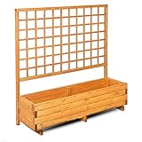 GASPO Blumenkasten mit Rankgitter, Pflanzkübel aus Holz für Balkon und Garten, inklusive Rankhilfen für Kletterpflanzen, Sichtschutz,Farbe Honig, 136 cm x 37 cm x 140 cm, Made in Austria