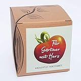 Geschenk-Anzuchtset Herztomate, seltene Gemüsesorte für Gärtner mit Herz