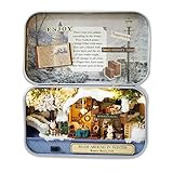 Cuteefun DIY Miniatur Haus Kit in Box zu Bauen, Handgemachtes Mini Theater Bastelset, Kreative Handwerkliche Geschenke für Frauen (Leben im Winter)