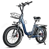 HANEVEAR Elektrofahrräder 20 Zoll E Bike Klapprad Pedelec 24Ah/48V Lithium-Akku | bis zu 140km, 250W Heckmotor, Hydraulische Bremse, Elektrofahrrad Trekking/City Pedelec für Damen und Herren