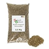 Rasen Berliner Tiergarten Grassamen Rasensamen Rasensaat Gras 2,5kg - Eleganter Zierrasen - Qualität zum Fairen Preis !