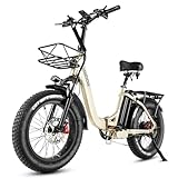 HANEVEAR Elektrofahrräder 20 Zoll E Bike Klapprad Pedelec 24Ah/48V Lithium-Akku | bis zu 140km, 250W Heckmotor, Hydraulische Bremse, Elektrofahrrad Trekking/City Pedelec für Damen und Herren