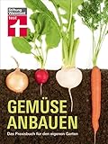 Gemüse anbauen: Das Praxisbuch für den eigenen Garten