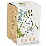 Feel Green ecoblock Vergissmeinnicht, Nachhaltige Geschenkidee (100% Eco Friendly), Grow Your Own/Anzuchtset, Pflanzen im Holzblock, Made in Austria, Holz