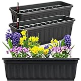 Hausfelder Blumenkasten 3er Set mit Wasserspeicher und Wasserstandsanzeige, Pflanzkasten für Garten und Balkon witterungsbeständig für Innen und Außen (Anthrazit-Schwarz, 60cm lang - 3er Set)