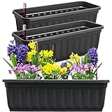 Hausfelder Blumenkasten 3er Set mit Wasserspeicher und Wasserstandsanzeige, Pflanzkasten für Garten und Balkon witterungsbeständig für Innen und Außen (Anthrazit-Schwarz, 60cm lang - 3er Set)