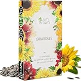 Sonnenblumen Samen Set - Sonnenblumen Saatgut mit 6 Sorten - Blumen Geschenk Set mit Riesen Sonnenblumen Samen und Sonnenblumen Samen klein - Blumensamen Sonnenblumen - Saatgut Blumen von OwnGrown