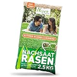 Rasensamen schnellkeimend 2,5kg = 75-100m² Premium Nachsaat Rasen Nachsaatrasen Herbst trockenresistent | schließt extrem schnell Lücken im Gras