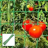 Ranknetz Rankhilfe Garten Tomaten Gurken 1.8x6m, Rankhilfen Gartennetz für Kletterpflanzen Gewächshaus Zubehör, Pflanzennetz mit Großer Maschenweite, Gurkennetz für Garten Rankhilfen Gemüsepflanzen